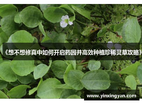 《想不想修真中如何开启药园并高效种植珍稀灵草攻略》
